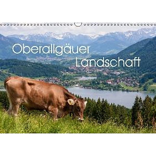 Oberallgäuer Landschaft (Wandkalender 2016 DIN A3 quer), Thomas Klinder