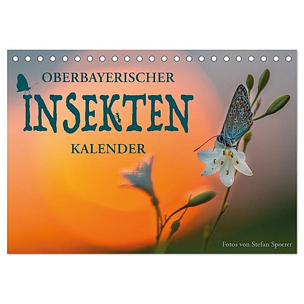 Oberbayerischer Insekten Kalender (Tischkalender 2024 DIN A5 quer), CALVENDO Monatskalender, Stefan Sporrer