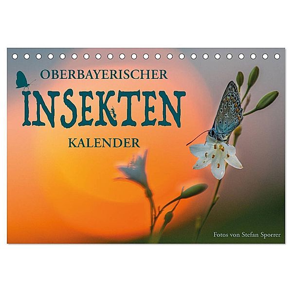 Oberbayerischer Insekten Kalender (Tischkalender 2025 DIN A5 quer), CALVENDO Monatskalender, Calvendo, Stefan Sporrer