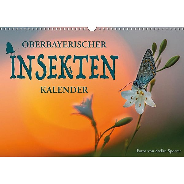 Oberbayerischer Insekten Kalender (Wandkalender 2021 DIN A3 quer), Stefan Sporrer