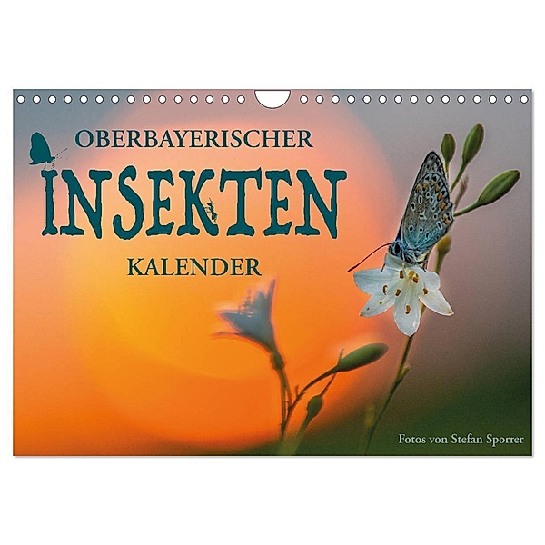 Oberbayerischer Insekten Kalender (Wandkalender 2024 DIN A4 quer), CALVENDO Monatskalender, Stefan Sporrer
