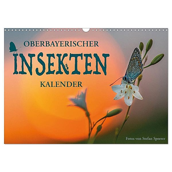 Oberbayerischer Insekten Kalender (Wandkalender 2025 DIN A3 quer), CALVENDO Monatskalender, Calvendo, Stefan Sporrer