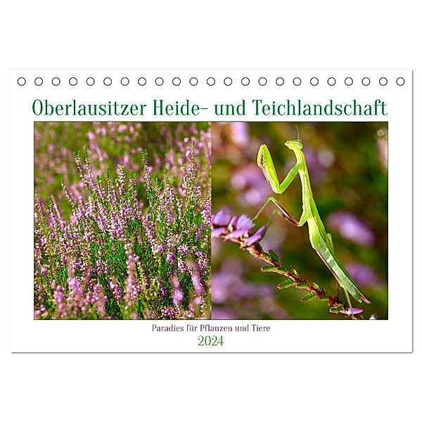 Oberlausitzer Heide- und Teichlandschaft (Tischkalender 2024 DIN A5 quer), CALVENDO Monatskalender, Anette/Thomas Jäger