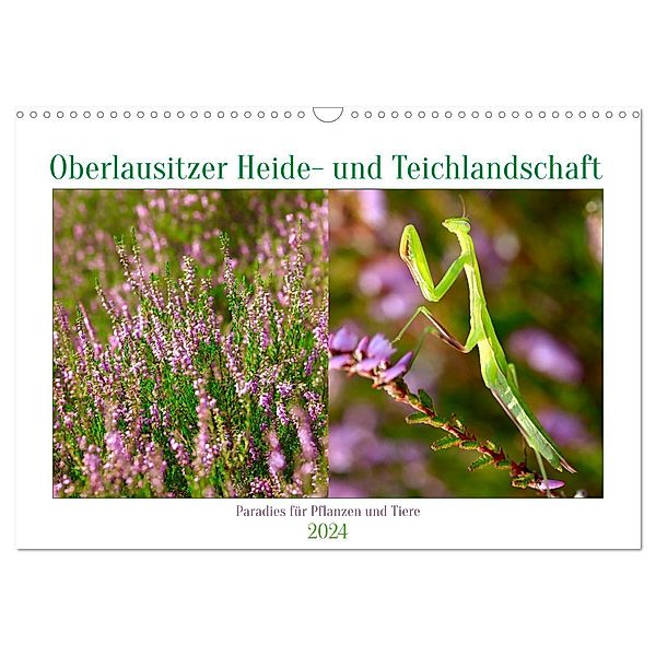 Oberlausitzer Heide- und Teichlandschaft (Wandkalender 2024 DIN A3 quer), CALVENDO Monatskalender, Anette/Thomas Jäger