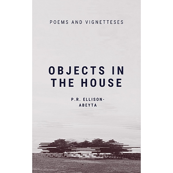 Objects In the House, P. R. Ellison-Abeyta