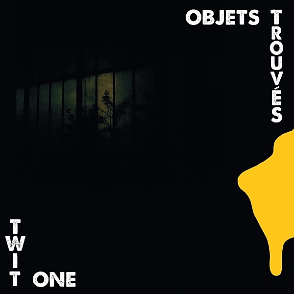 Objets Trouvés (Vinyl), Twit One