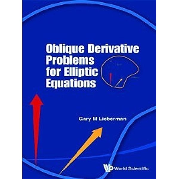 Oblique Derivative Problems for Elliptic Equations, Gary M Lieberman