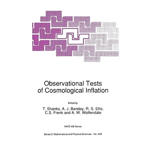Observational Tests of Cosmological Inflation / Nato Science Series C: Bd.348