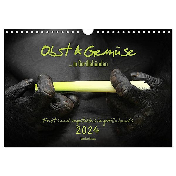 OBST & GEMÜSE in Gorillahänden (Wandkalender 2024 DIN A4 quer), CALVENDO Monatskalender, Matthias Besant