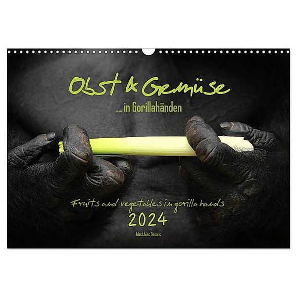 OBST & GEMÜSE in Gorillahänden (Wandkalender 2024 DIN A3 quer), CALVENDO Monatskalender, Matthias Besant