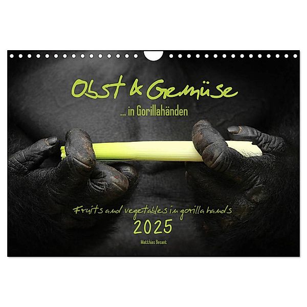 OBST & GEMÜSE in Gorillahänden (Wandkalender 2025 DIN A4 quer), CALVENDO Monatskalender, Calvendo, Matthias Besant