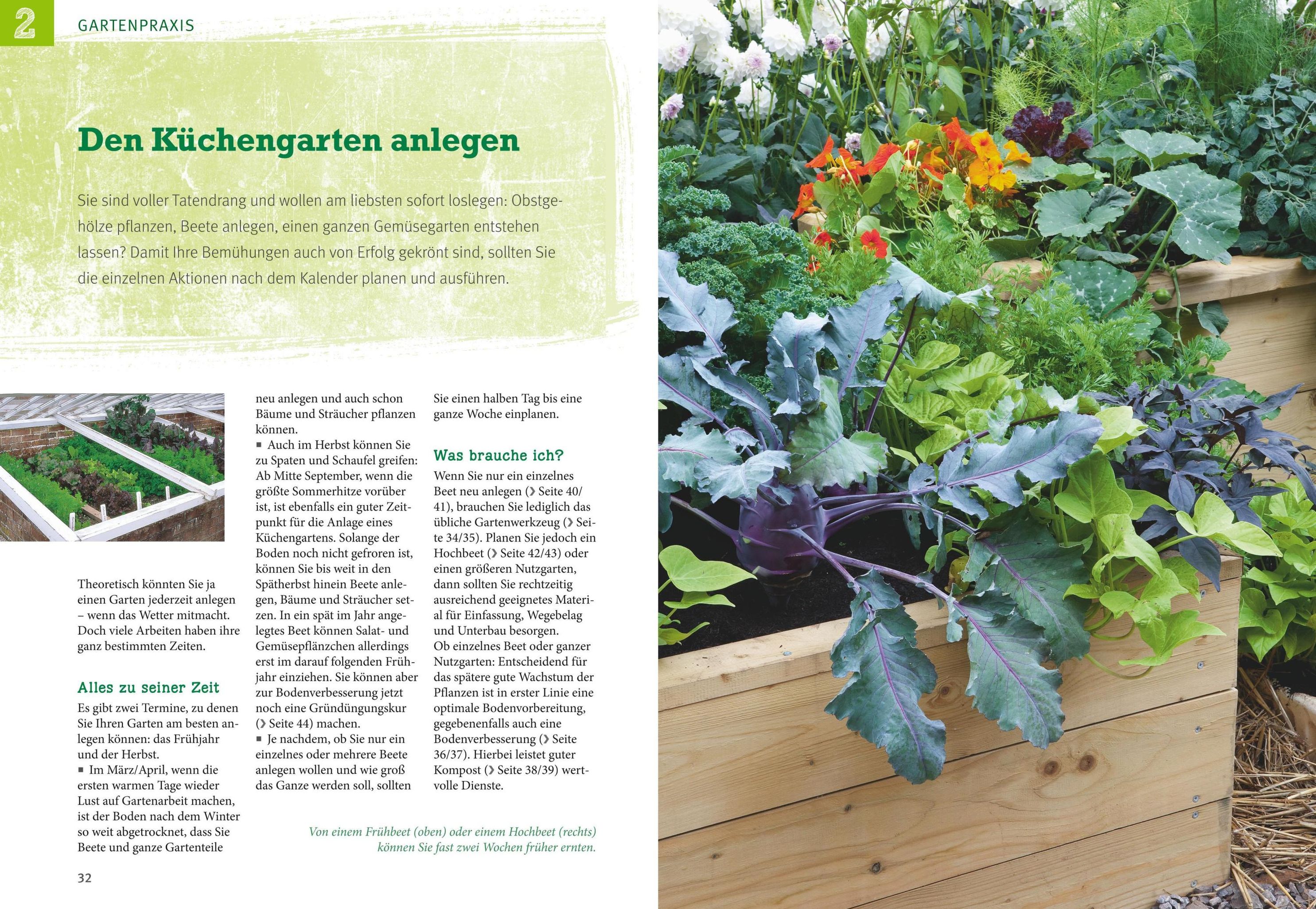 Obst & Gemüse selbst anbauen Buch versandkostenfrei bei Weltbild.de