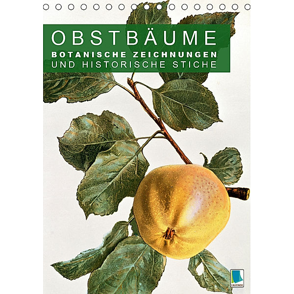 Obstbäume: Botanische Zeichnungen und historische Stiche (Tischkalender 2019 DIN A5 hoch), CALVENDO