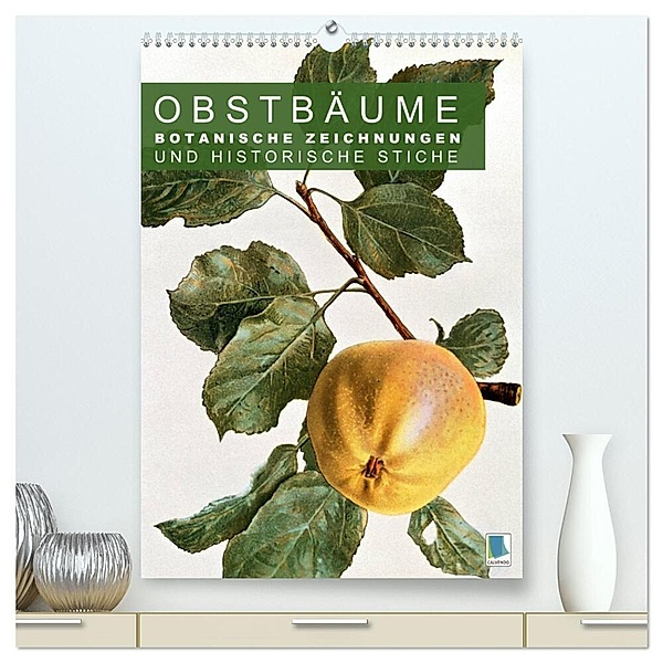 Obstbäume: Botanische Zeichnungen und historische Stiche (hochwertiger Premium Wandkalender 2024 DIN A2 hoch), Kunstdruck in Hochglanz, Calvendo