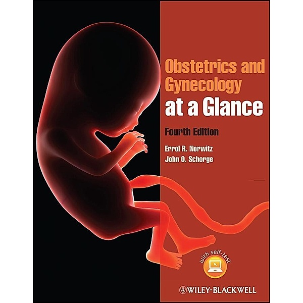 Obstetrics and Gynecology at a Glance / At a Glance, Errol R. Norwitz, John O. Schorge