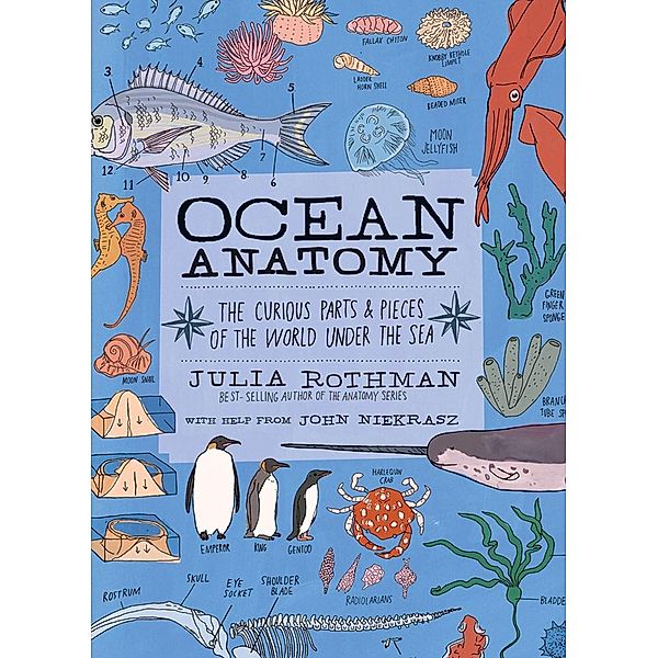 Ocean Anatomy, Julia Rothman