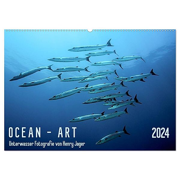 Ocean-Art / CH-Version (Wandkalender 2024 DIN A2 quer), CALVENDO Monatskalender, Henry Jager