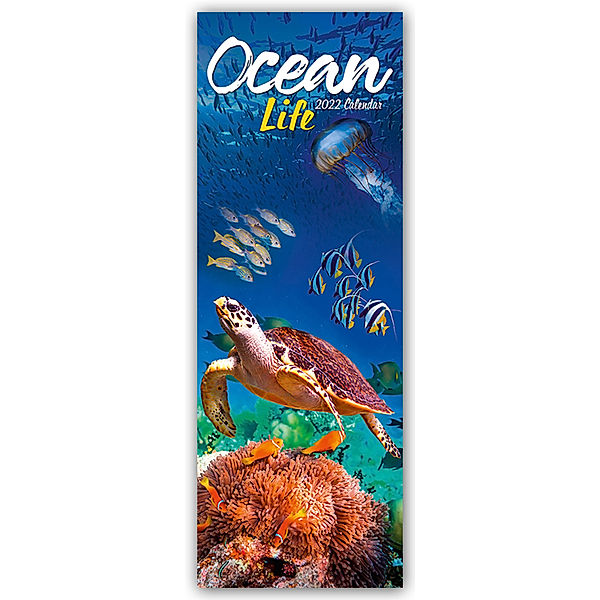 Ocean Life - Lebendige Unterwasserwelt 2022, Avonside Publishing Ltd