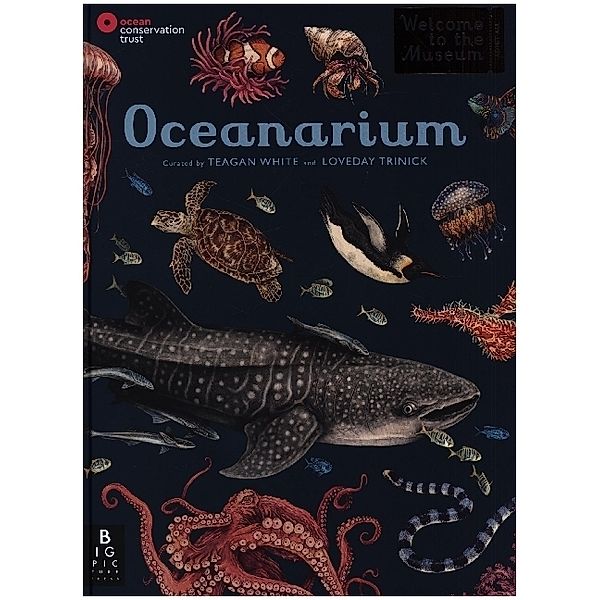 Oceanarium, National Marine Aquarium, Loveday Trinick