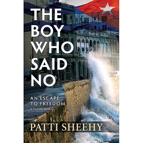 Oceanview Publishing: The Boy Who Said No, Patti Sheehy