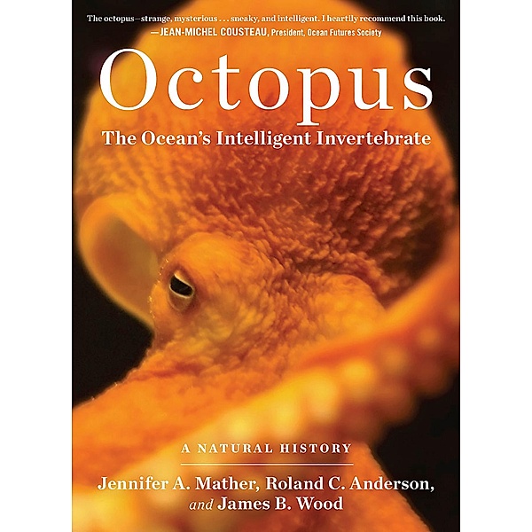 Octopus, Jennifer A. Mather, Roland C. Anderson, James B. Wood