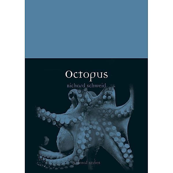 Octopus / Animal, Schweid Richard Schweid