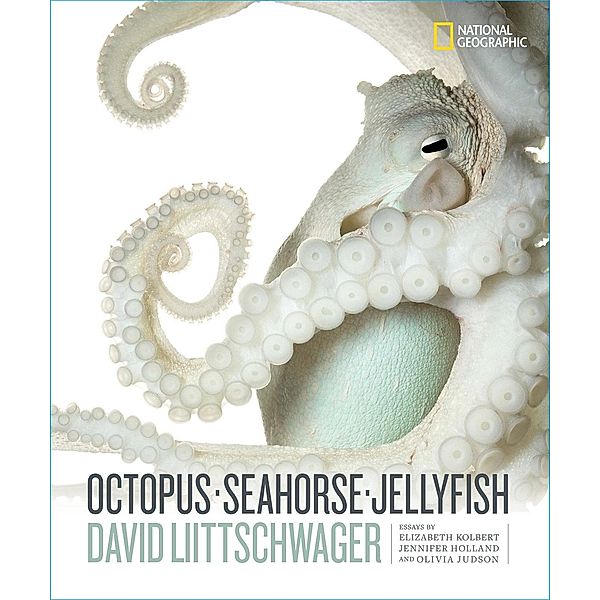 Octopus, Seahorse, Jellyfish, David Liittschwager