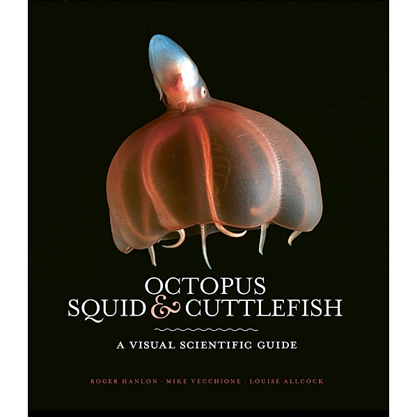 Octopus, Squid & Cuttlefish, Roger Hanlon, Louise Allcock, Mike Vecchione