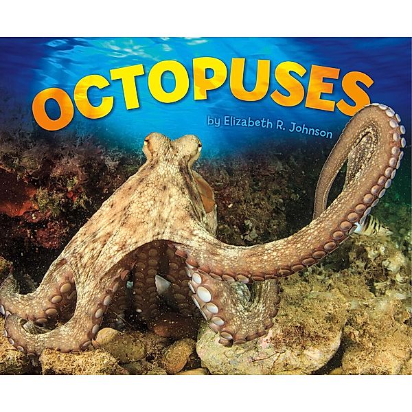Octopuses / Raintree Publishers, Elizabeth R. Johnson