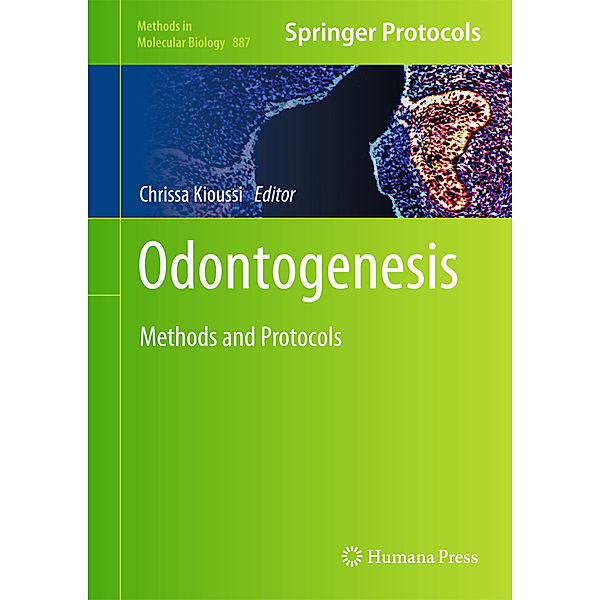 Odontogenesis