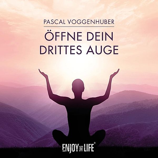 Öffne Dein drittes Auge, 1 Audio-CD, Pascal Voggenhuber