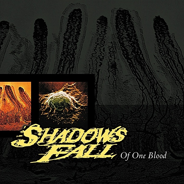 Of One Blood (Vinyl), Shadows Fall