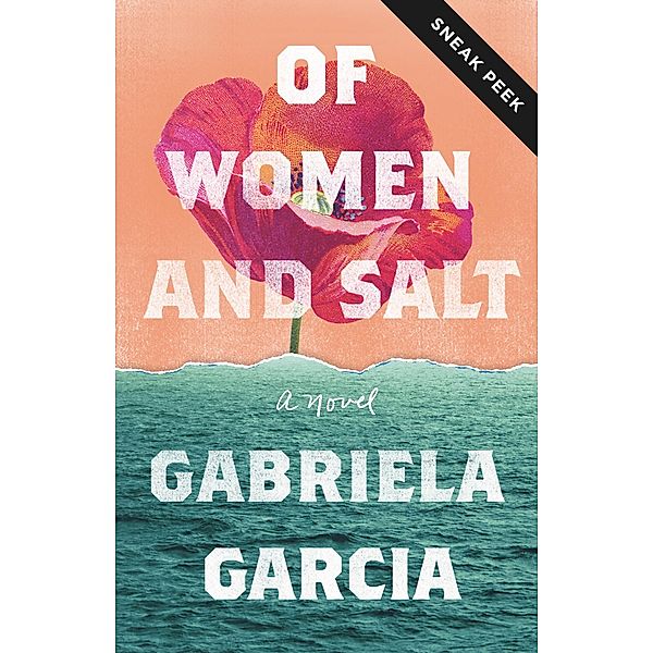 Of Women and Salt Sneak Peek / Flatiron Books, Gabriela Garcia