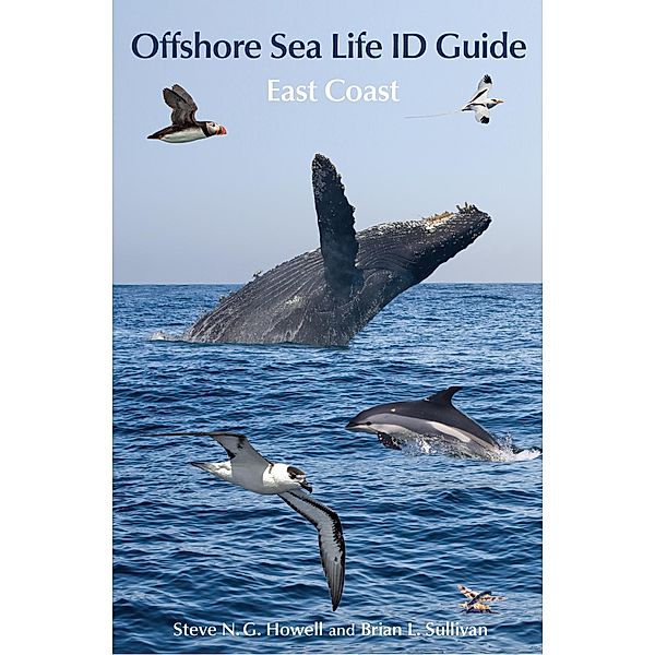 Offshore Sea Life ID Guide / Princeton Field Guides, Steve N. G. Howell