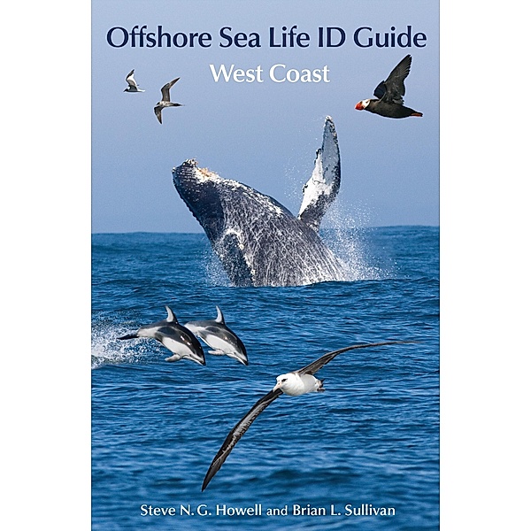 Offshore Sea Life ID Guide / Princeton Field Guides, Steve N. G. Howell