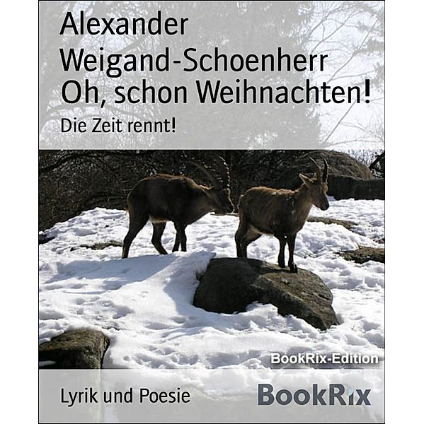 Oh, schon Weihnachten!, Alexander Weigand-Schoenherr