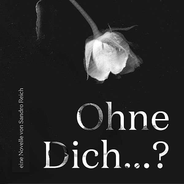 Ohne Dich...?, Sandro Reich