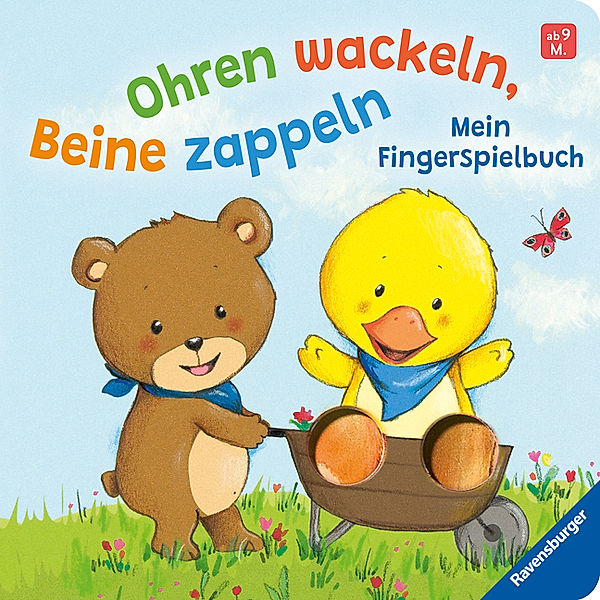 Ohren wackeln, Beine zappeln: Mein Fingerspielbuch. Babybuch ab 9 Monaten, Miriam Cordes