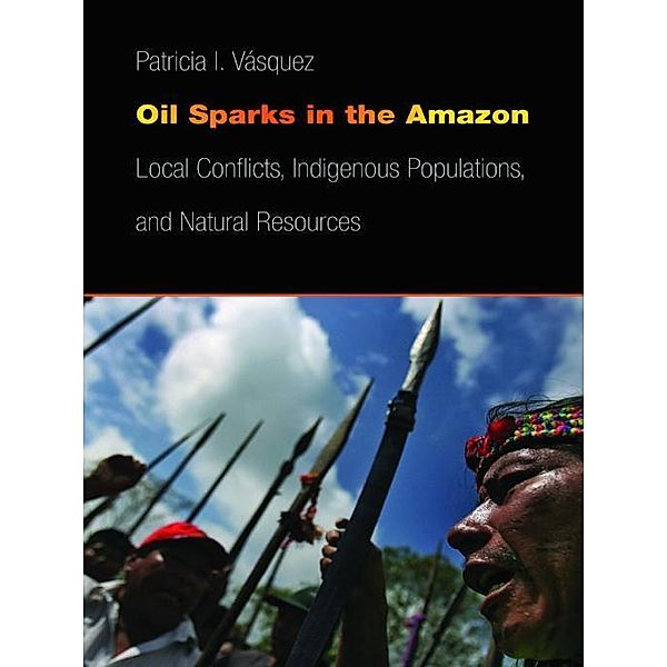 Oil Sparks in the Amazon / Studies in Security and International Affairs Ser. Bd.23, Patricia I. Vásquez