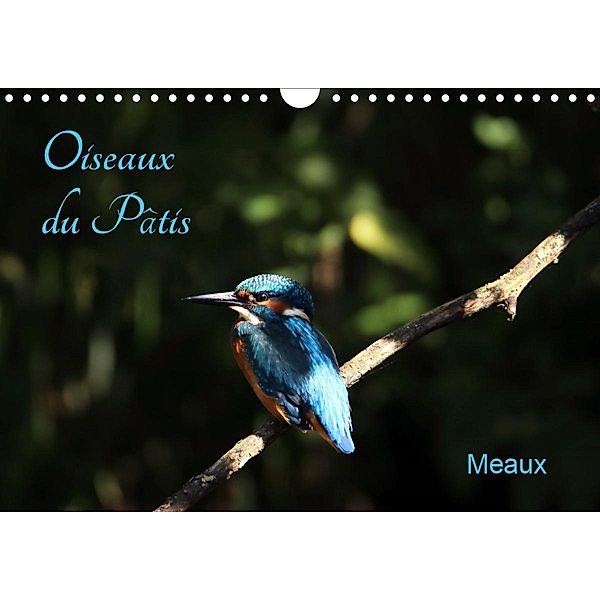 Oiseaux du Pâtis (Calendrier mural 2021 DIN A4 horizontal), Patrick Casaert