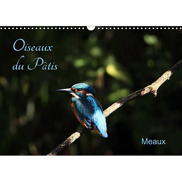 Oiseaux du Pâtis (Calendrier mural 2023 DIN A3 horizontal), Patrick Casaert