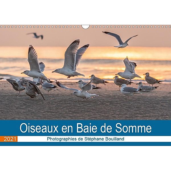 Oiseaux en Baie de Somme (Calendrier mural 2021 DIN A3 horizontal), Stéphane Bouilland
