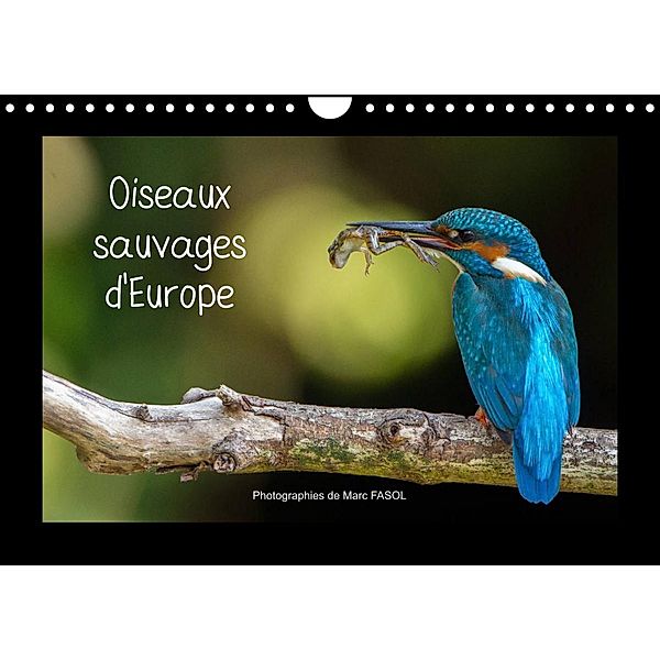 Oiseaux sauvages d'Europe (Calendrier mural 2023 DIN A4 horizontal), Marc FASOL