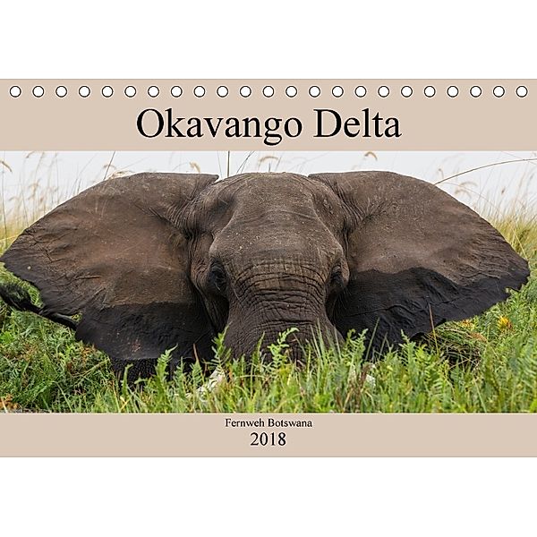 Okavango Delta - Fernweh Botswana (Tischkalender 2018 DIN A5 quer), A. Wyisk