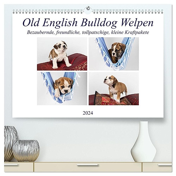 Old English Bulldog Welpen (hochwertiger Premium Wandkalender 2024 DIN A2 quer), Kunstdruck in Hochglanz, Fotodesign Verena Scholze