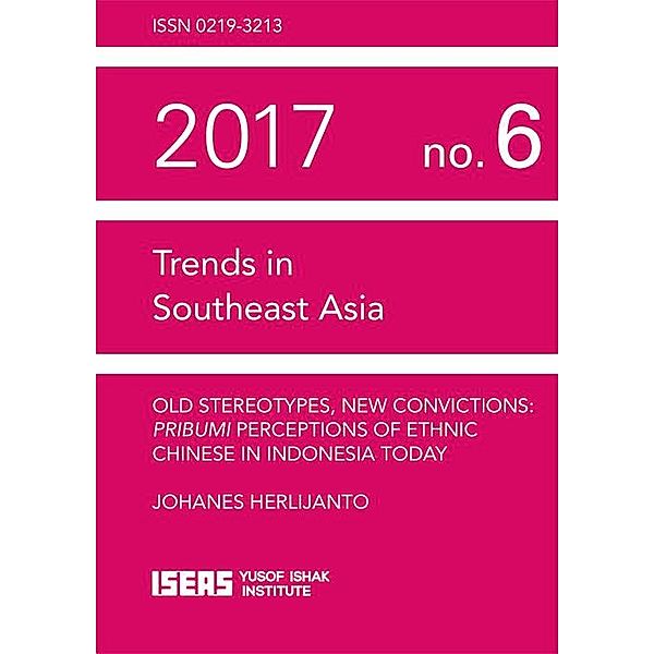 Old Stereotypes, New Convictions, Johanes Herlijanto