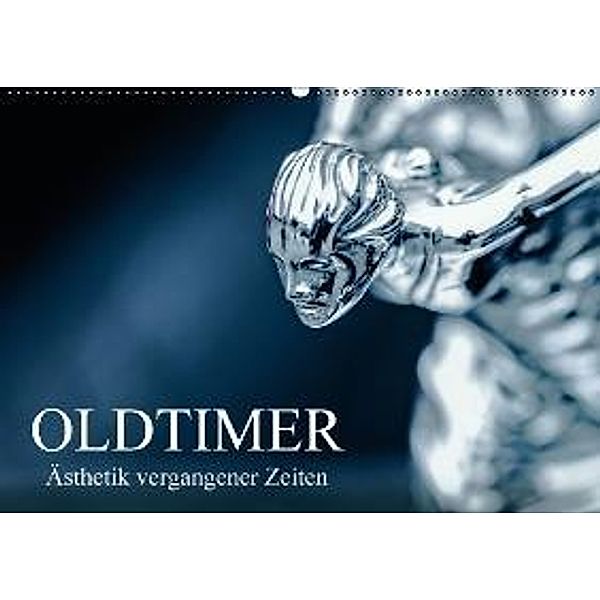 OLDTIMER Ästhetik vergangener Zeiten (Wandkalender 2016 DIN A2 quer), Dieter Meyer