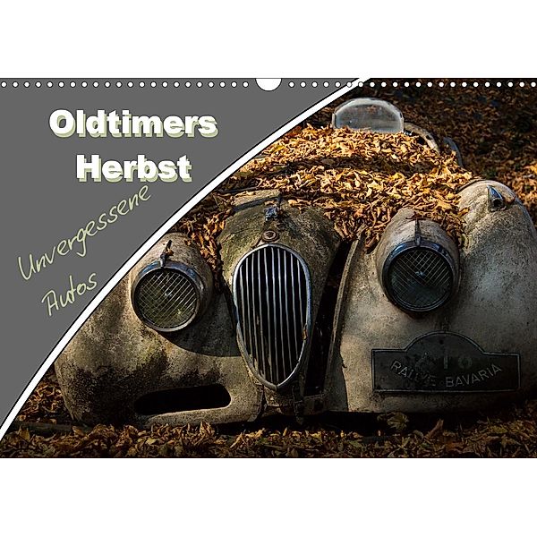 Oldtimers Herbst - Unvergessene Autos (Wandkalender 2020 DIN A3 quer), Renate Jansen