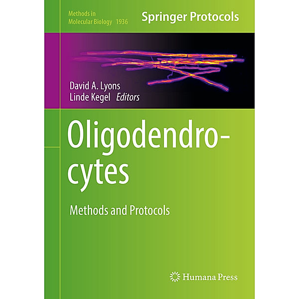 Oligodendrocytes