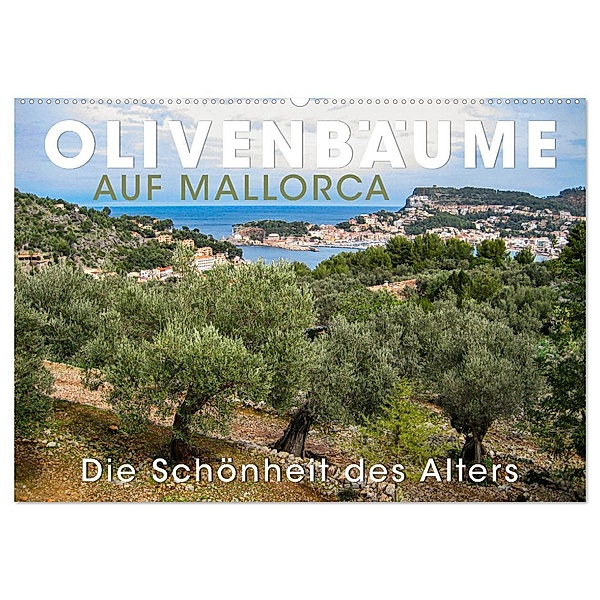 Olivenbäume auf Mallorca - Die Schönheit des Alters (Wandkalender 2024 DIN A2 quer), CALVENDO Monatskalender, Wilfried Oelschläger